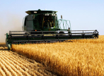 Agricolture